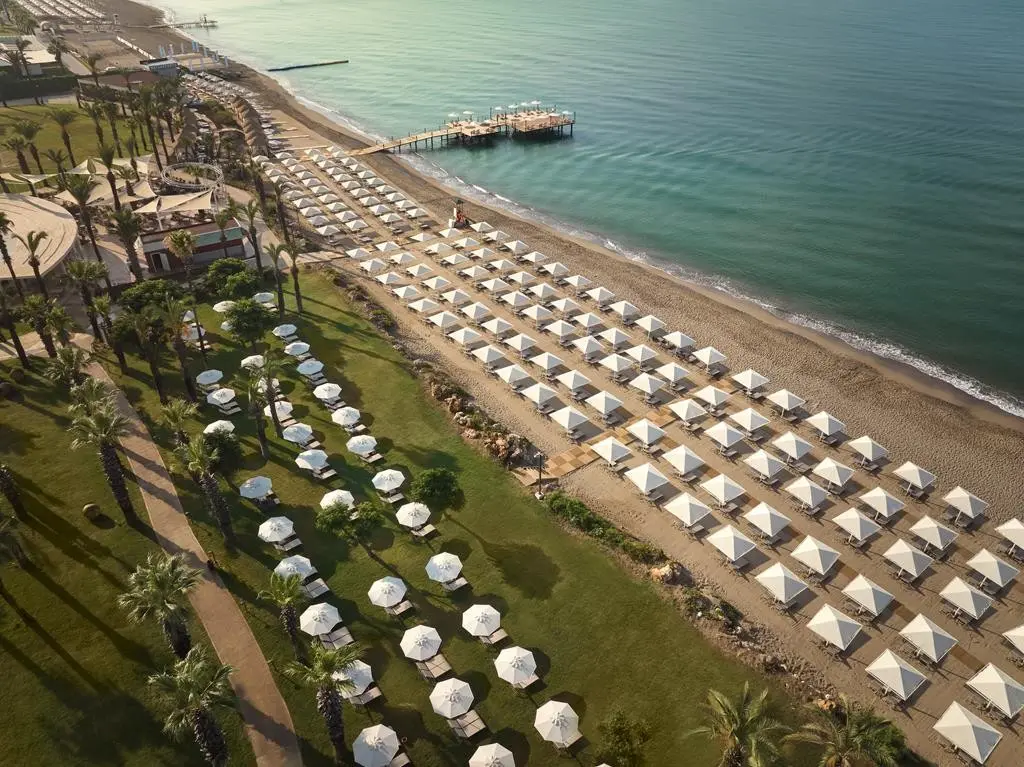 Paloma Grida — PALOMA GRIDA