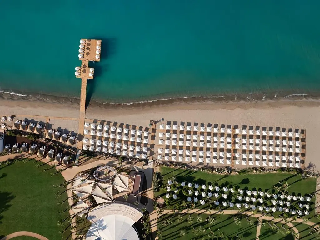 Paloma Grida — PALOMA GRIDA