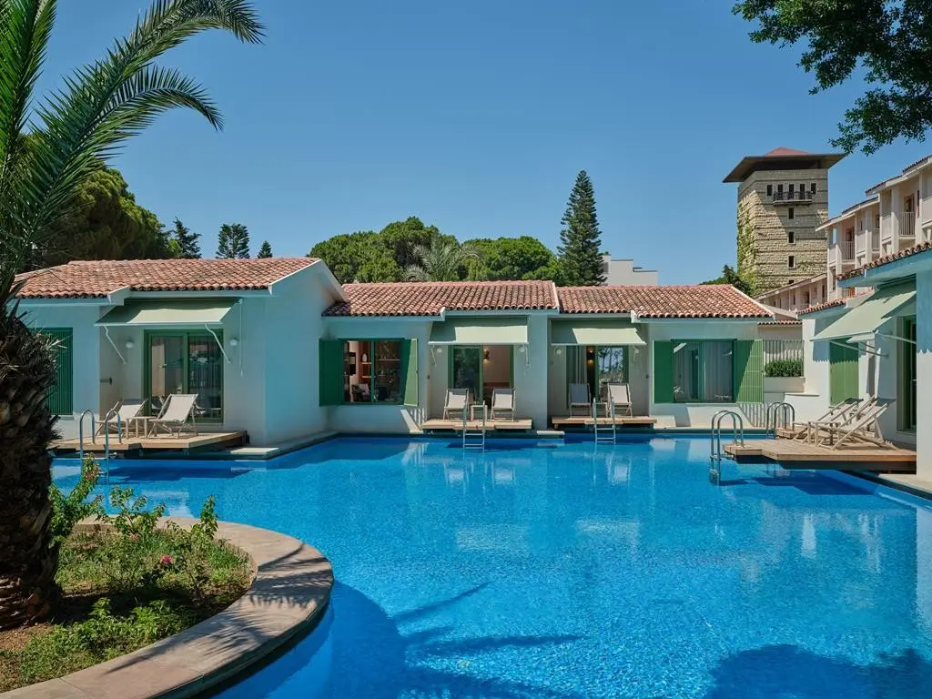 Paloma Grida — PALOMA GRIDA