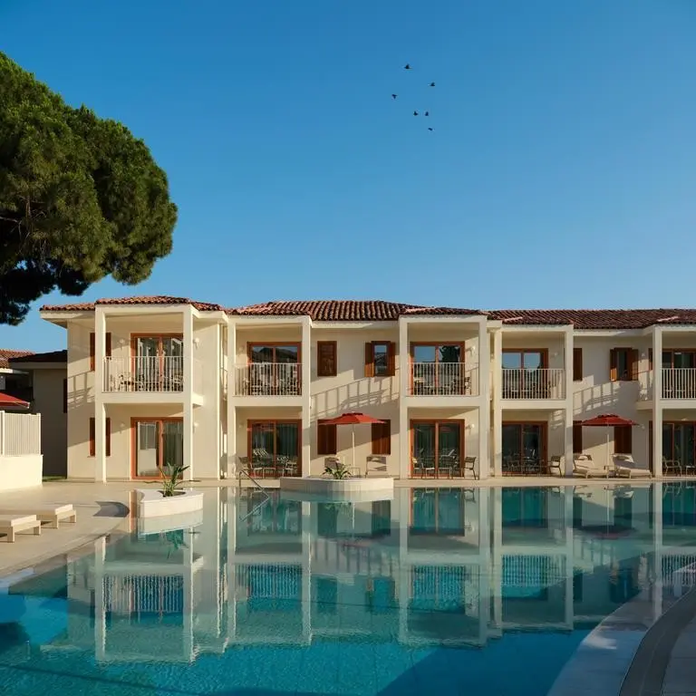 Paloma Grida — PALOMA GRIDA