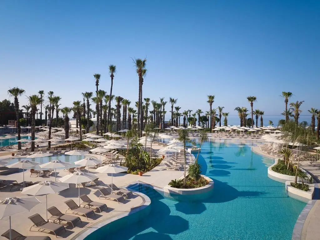 Paloma Grida — PALOMA GRIDA