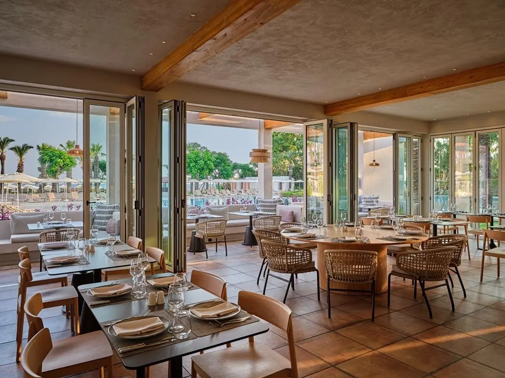 Paloma Grida — PALOMA GRIDA