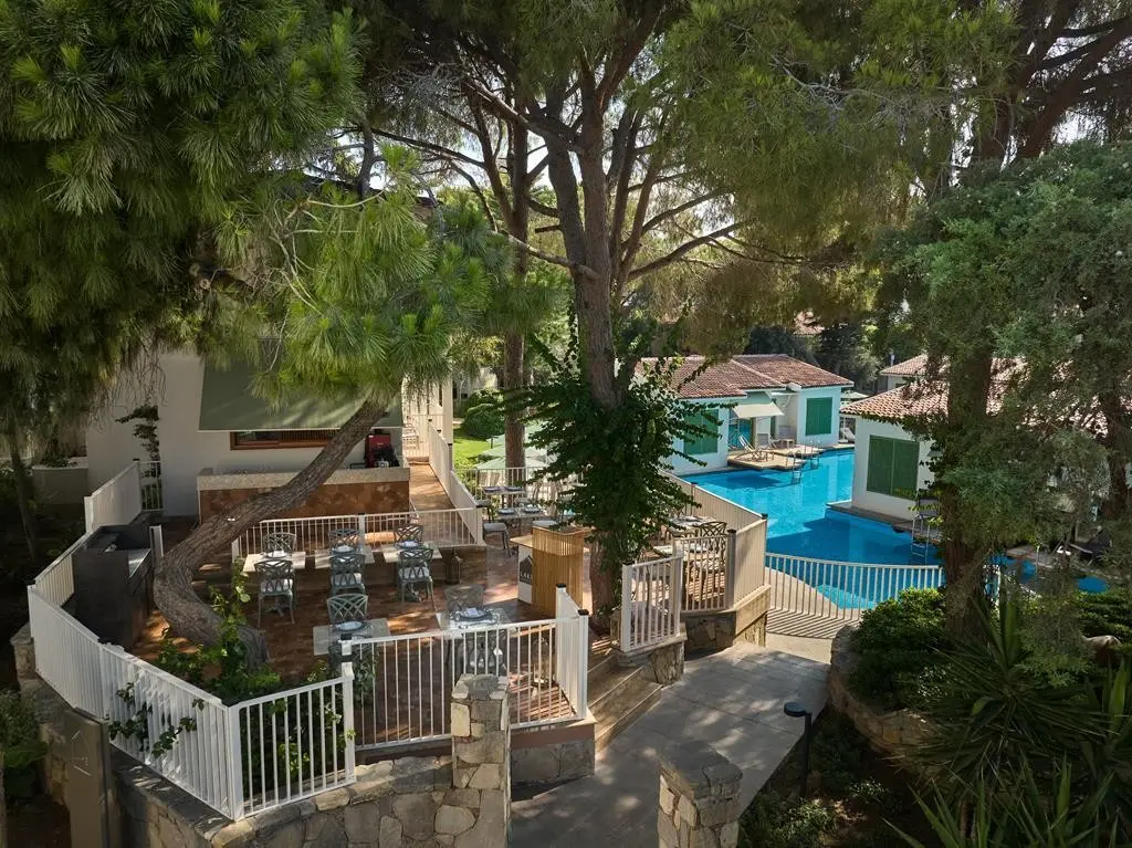 Paloma Grida — PALOMA GRIDA