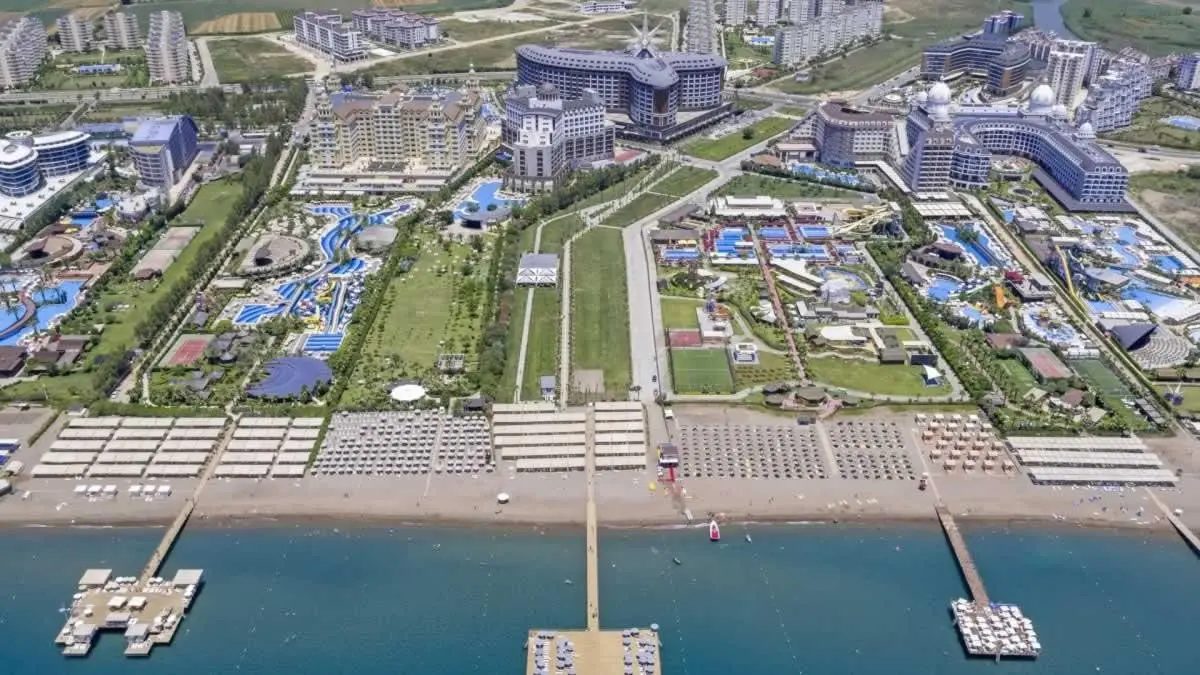 Royal Seginus — ROYAL SEGINUS