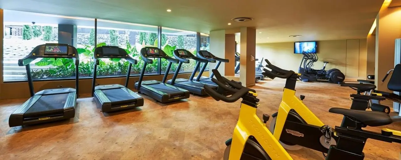 Savoy Palace — SAVOY PALACE