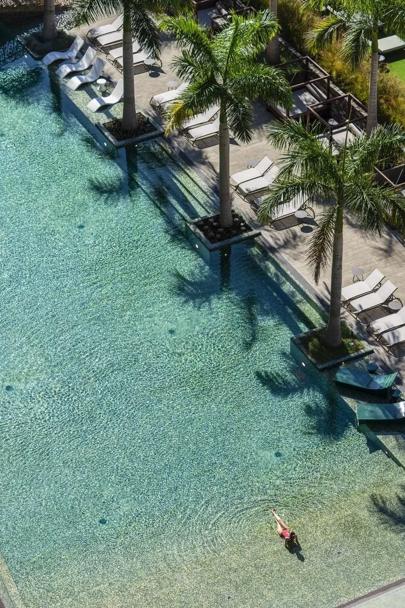 Savoy Palace — SAVOY PALACE