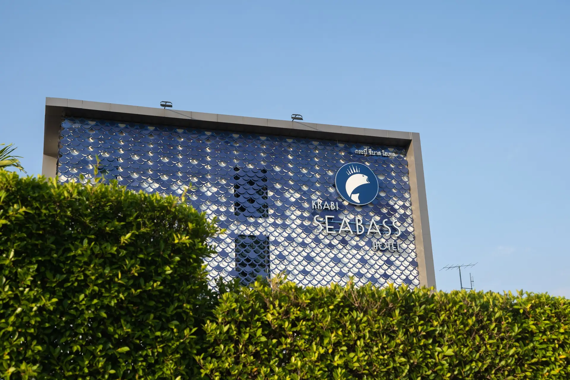 Sea Seeker Krabi Resort — KRABI SEABASS HOTEL