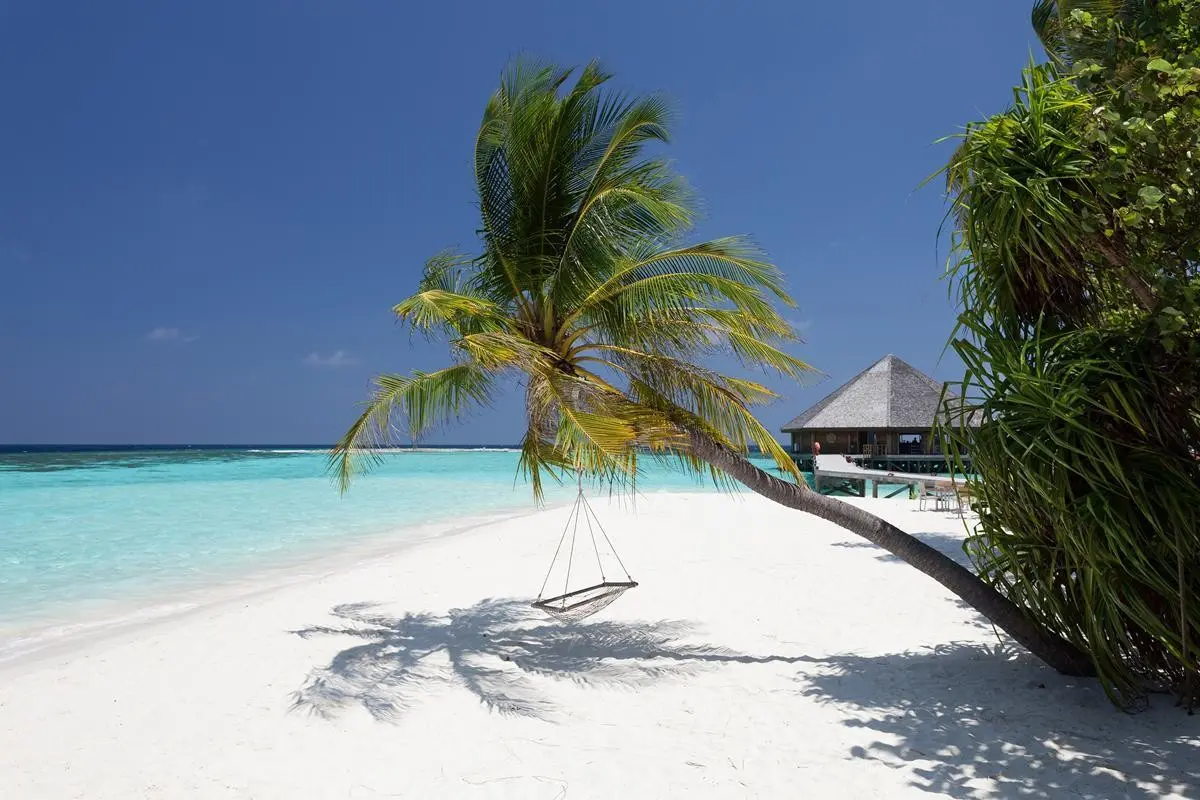 Vilamendhoo Island Resort & Spa — VILAMENDHOO ISLAND RESORT & SPA