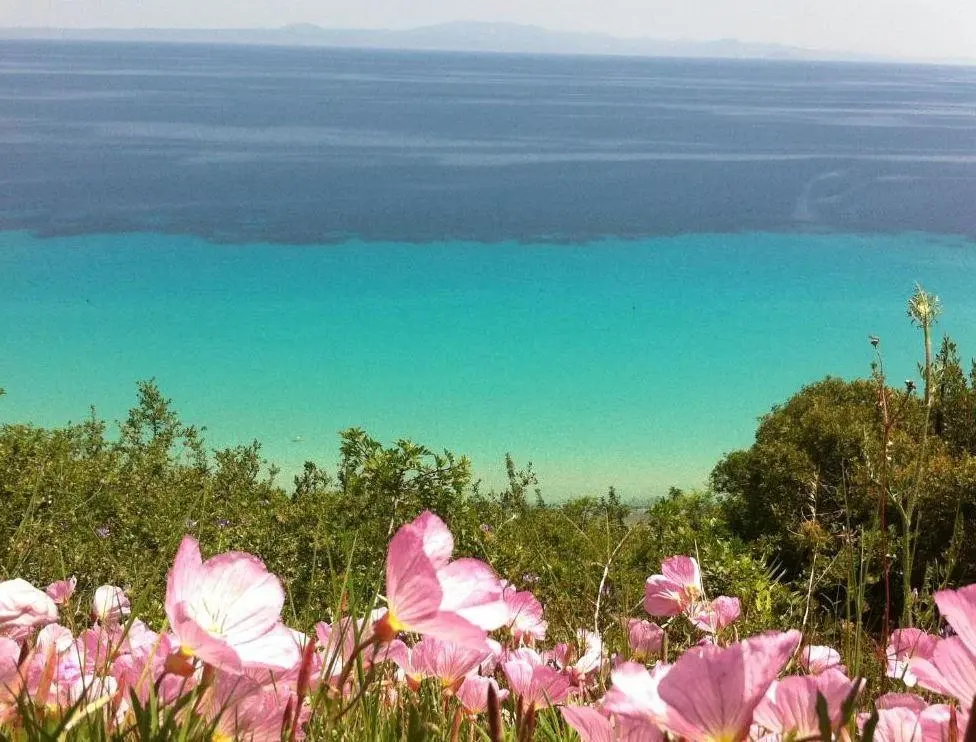 Plaża przy hotelu Aegean Blue Studios
