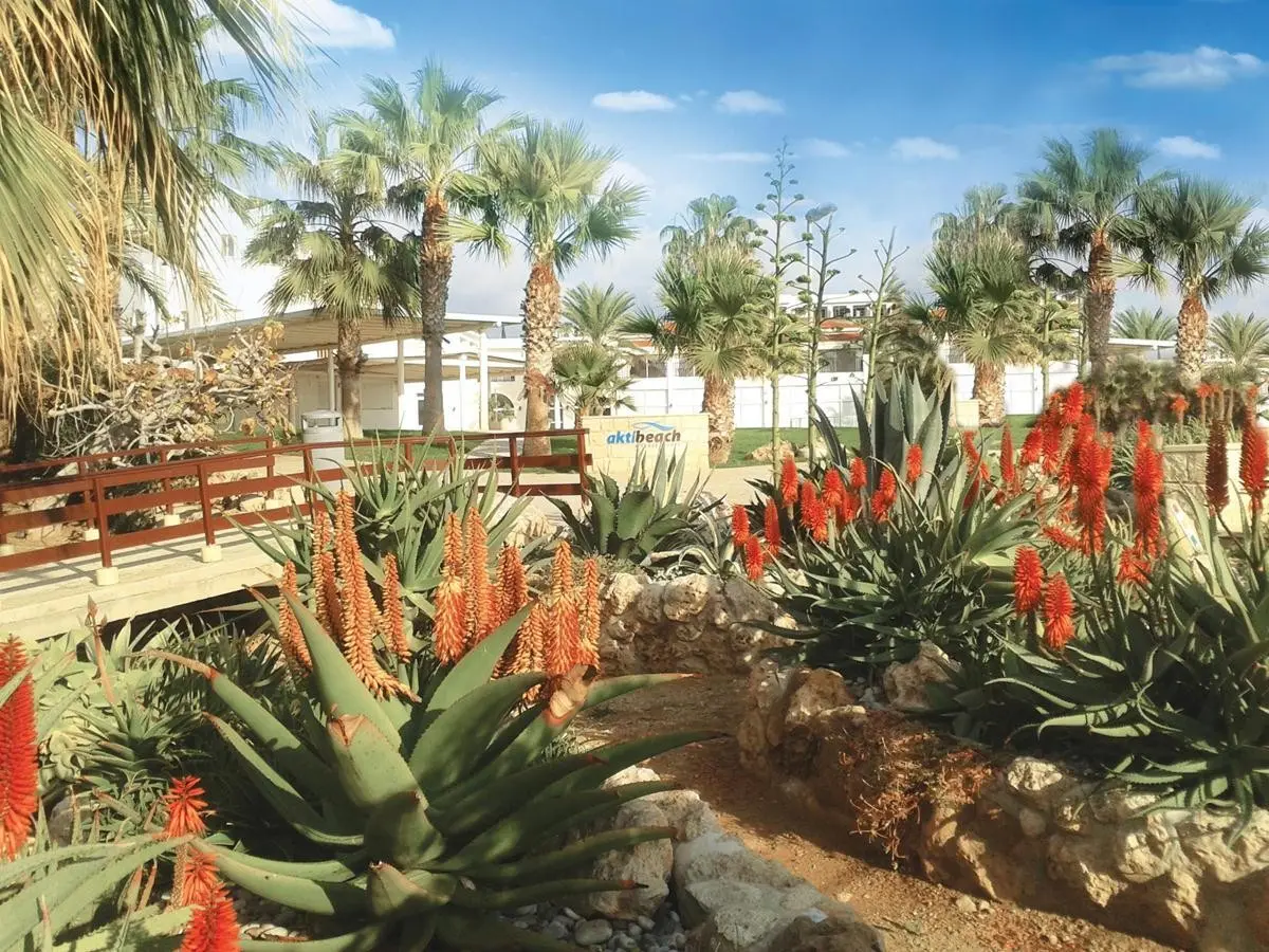 Akti Beach Hotel and Village Resort — AKTI BEACH HOTEL AND VILLAGE RESORT