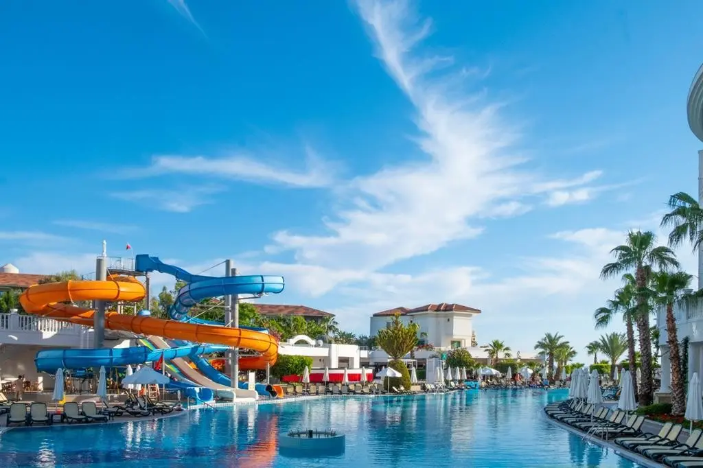 Alba Queen — ALBA QUEEN