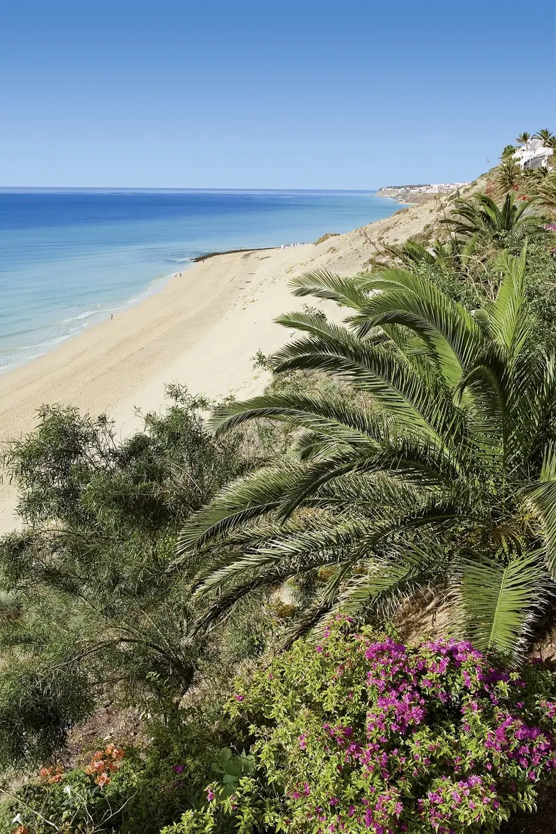 Allsun Hotel Esquinzo Beach — ALLSUN HOTEL ESQUINZO BEACH