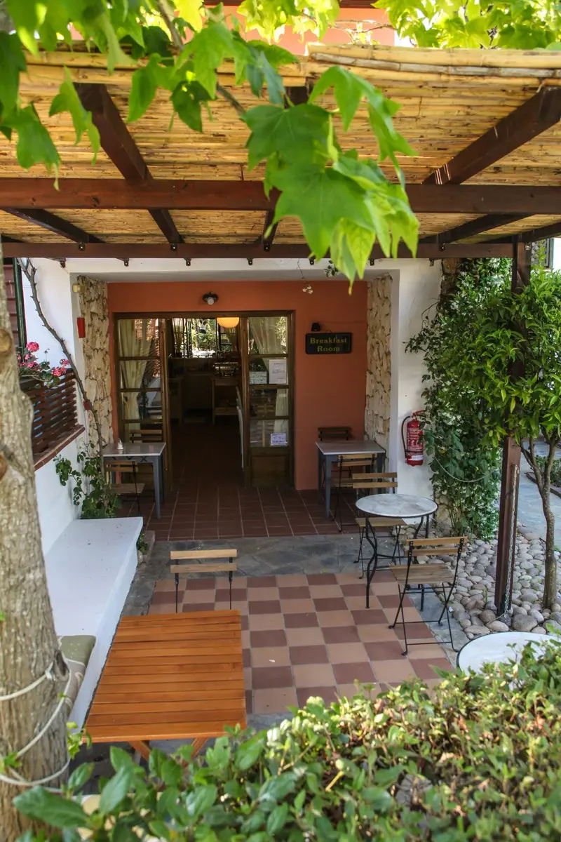 Ammon Garden — AMMON GARDEN