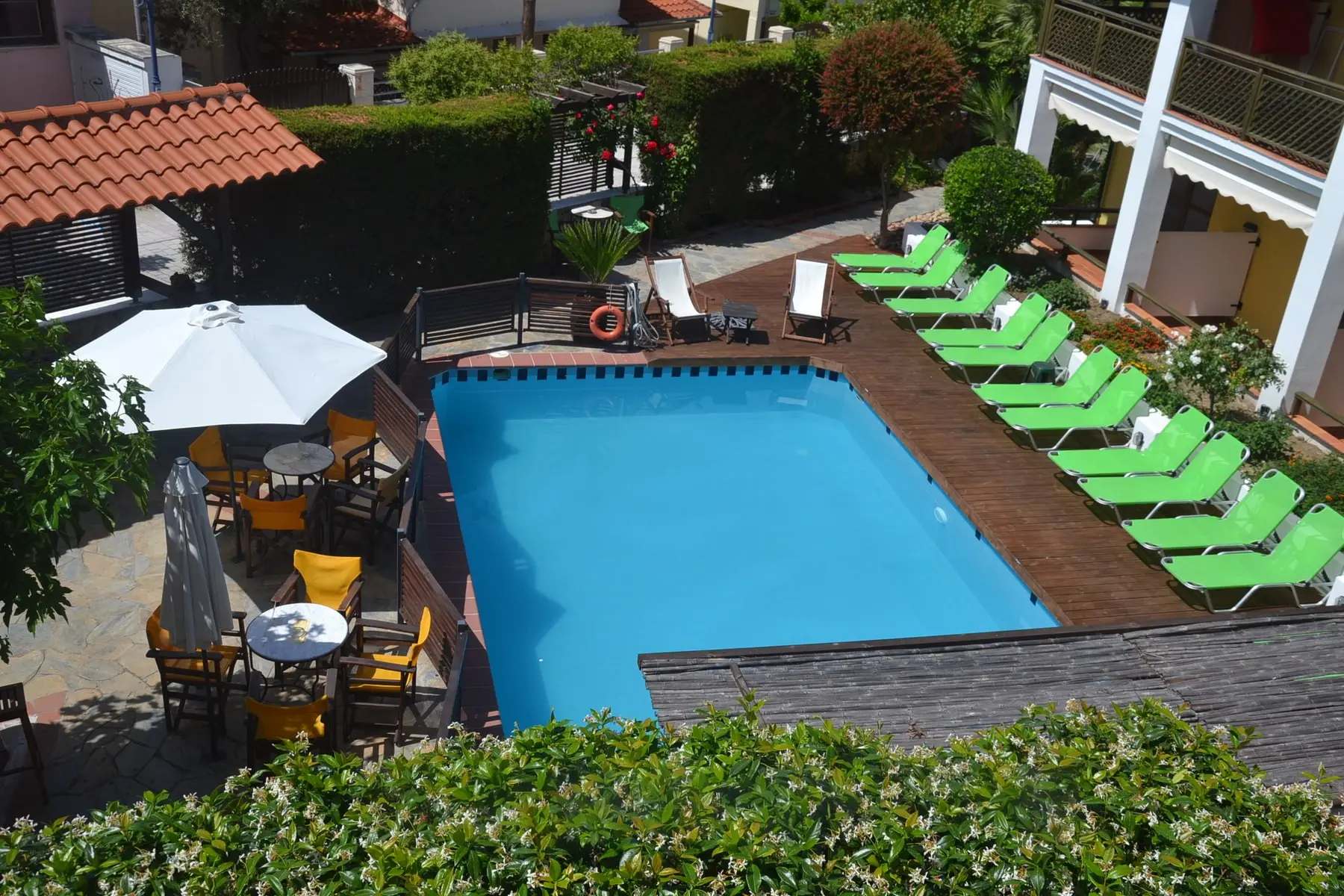 Ammon Garden — AMMON GARDEN