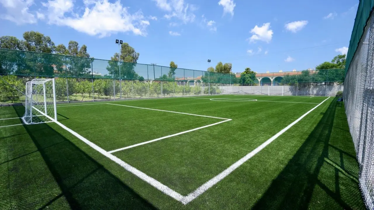 Apollo Beach — APOLLO BEACH