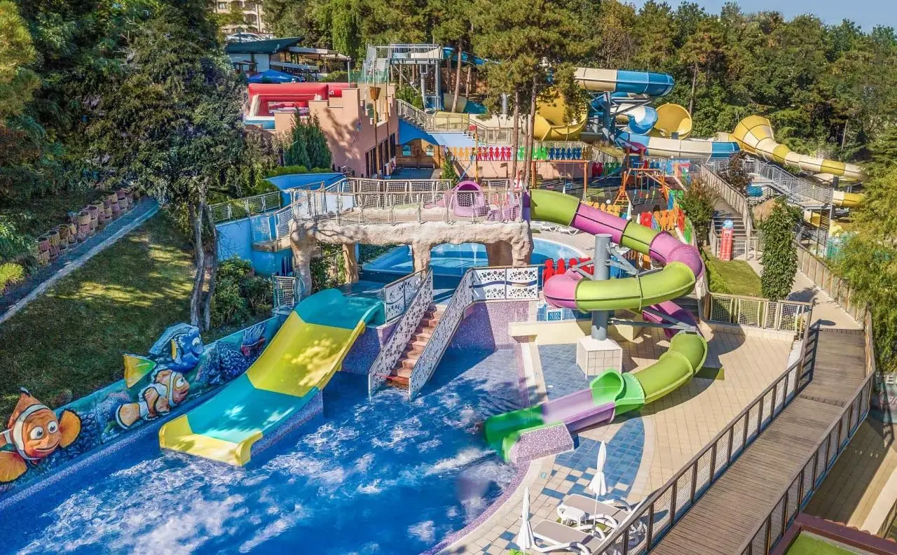 Aqua Club GRIFID Bolero — AQUA CLUB GRIFID BOLERO