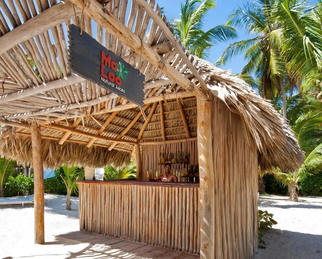 Plaża przy hotelu Catalonia Royal Bavaro