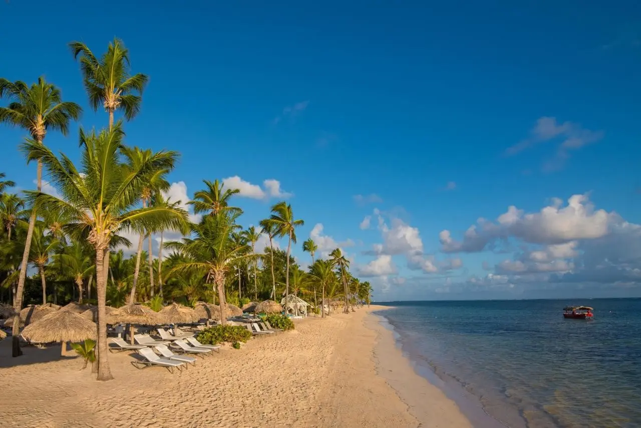 Plaża przy hotelu Catalonia Royal Bavaro