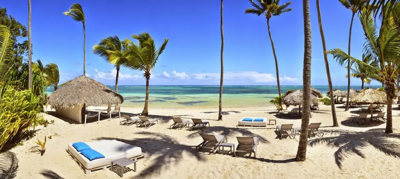 Plaża przy hotelu Catalonia Royal Bavaro