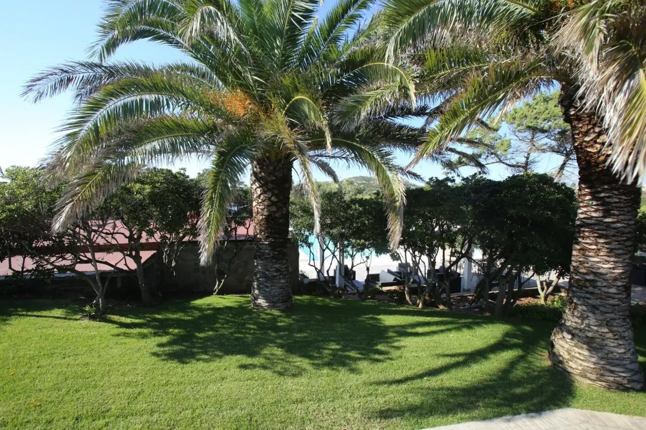 Club Esse Sporting — CLUB ESSE SPORTING