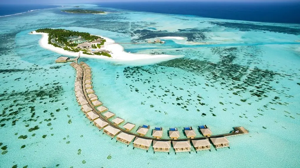 Cocoon Maldives — COCOON MALDIVES
