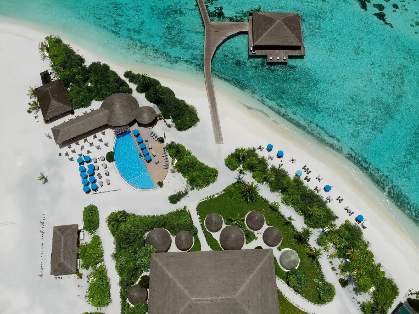 Cocoon Maldives — COCOON MALDIVES