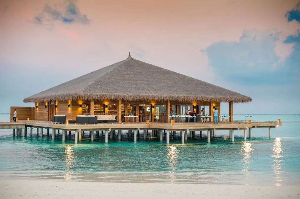 Cocoon Maldives — COCOON MALDIVES