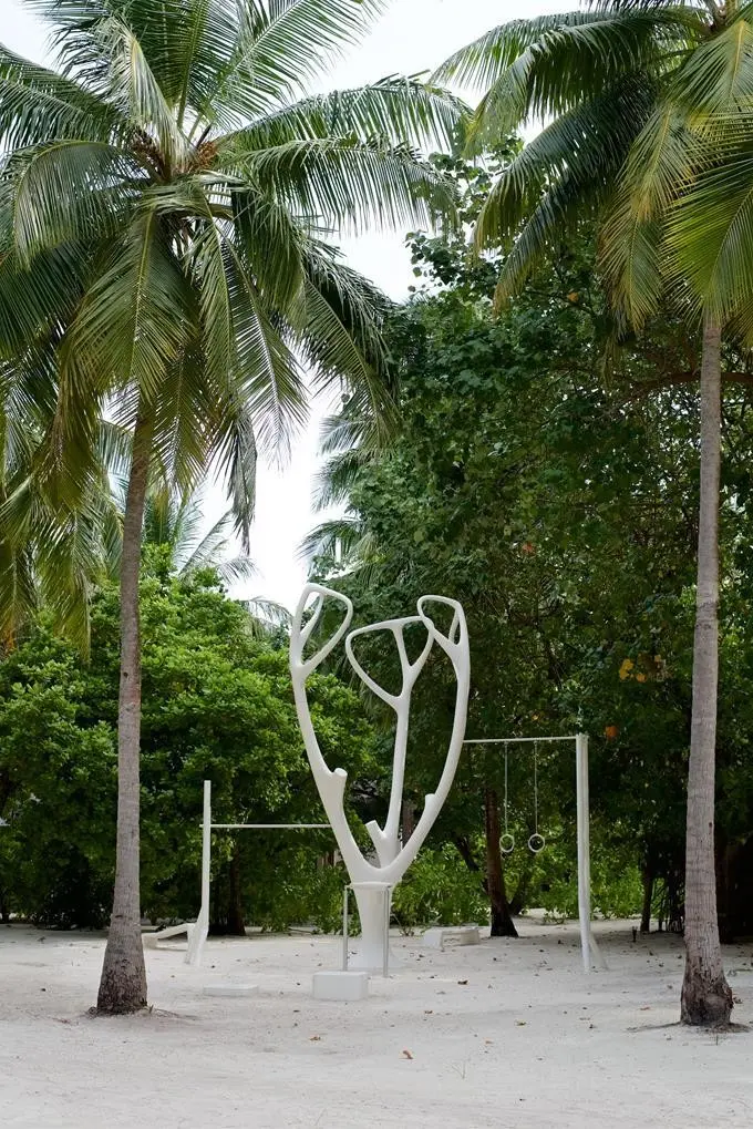 Cocoon Maldives — COCOON MALDIVES