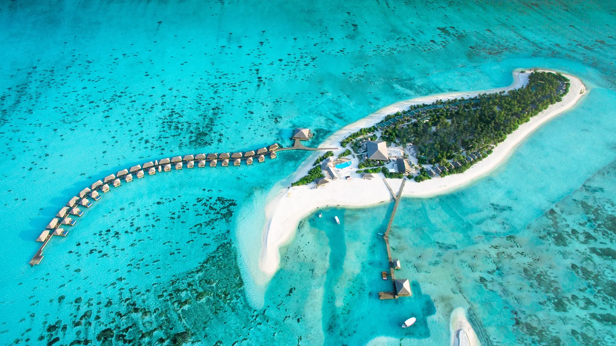 Cocoon Maldives — COCOON MALDIVES