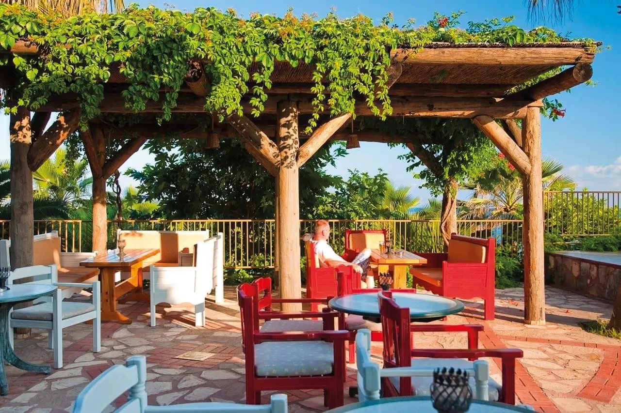 Defne Defnem — DEFNE DEFNEM