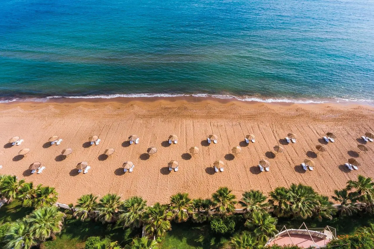 Defne Defnem — DEFNE DEFNEM