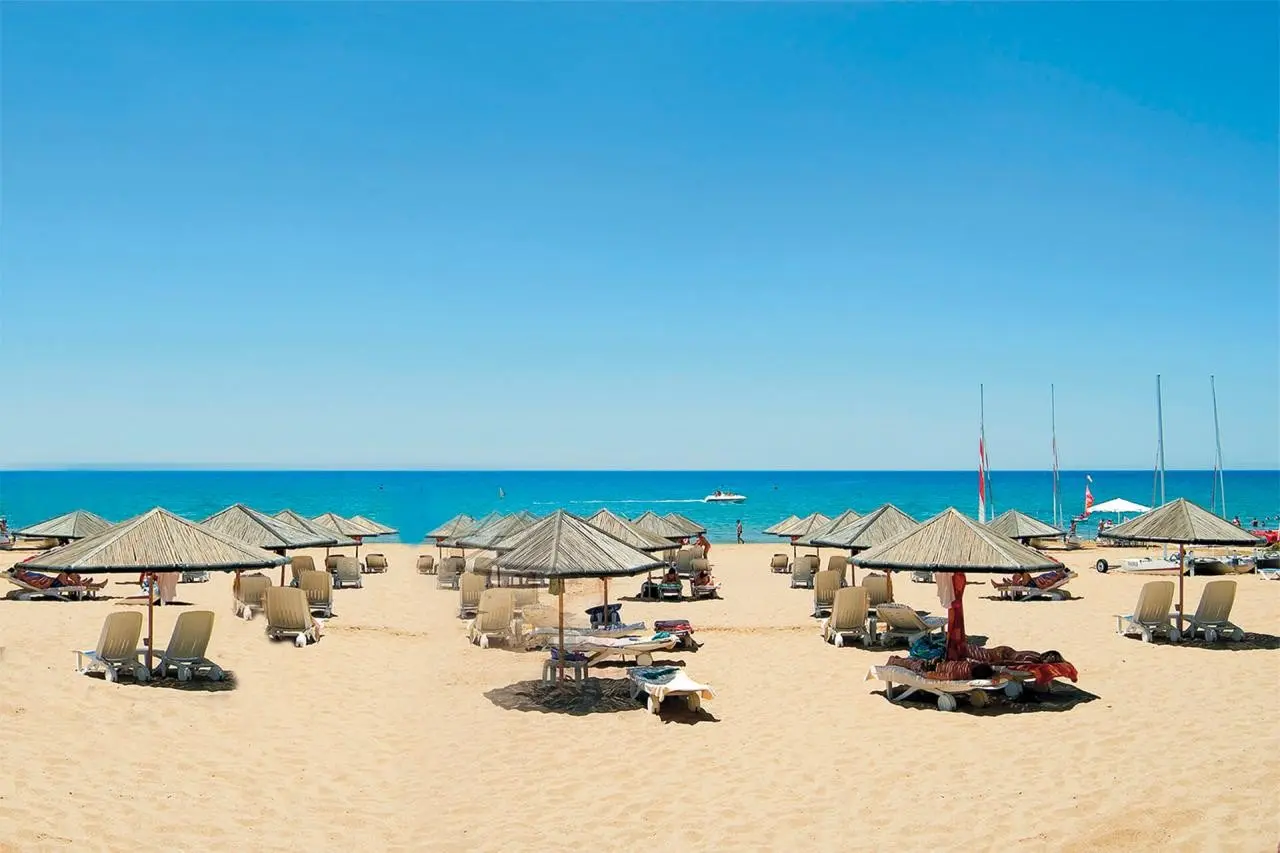 Defne Defnem — DEFNE DEFNEM