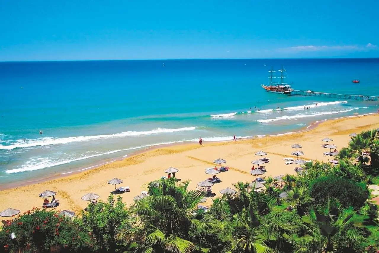 Defne Defnem — DEFNE DEFNEM