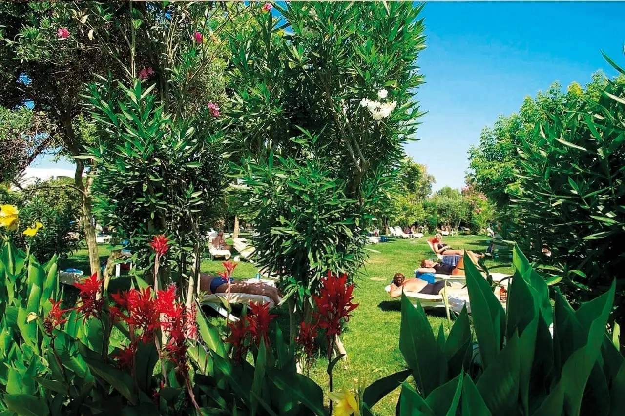 Defne Defnem — DEFNE DEFNEM