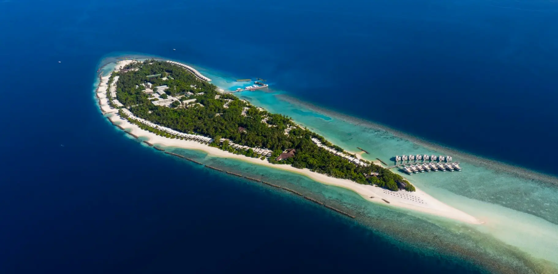 Plaża przy hotelu Dhigali Maldives