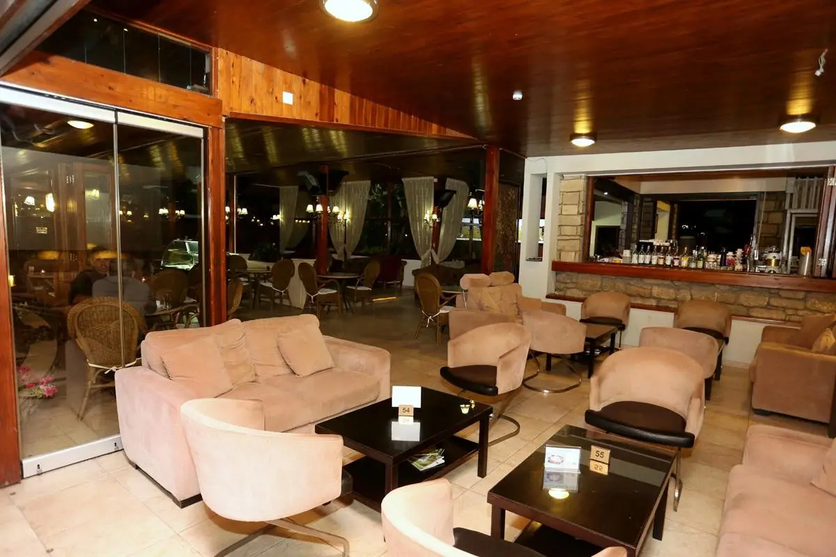 Dionysos Central Hotel — DIONYSOS CENTRAL