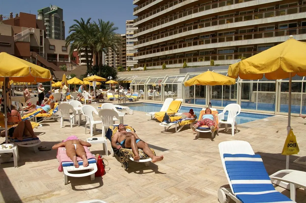 Don Pancho (Designed for adults) — DON PANCHO (DESIGNED FOR ADULTS)