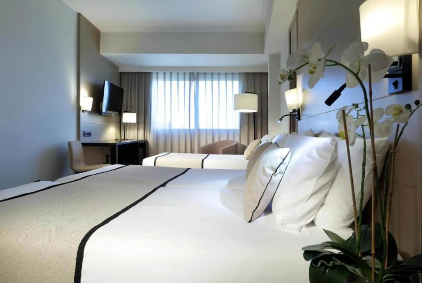 Exe Rey Don Jaime — EXE REY DON JAIME