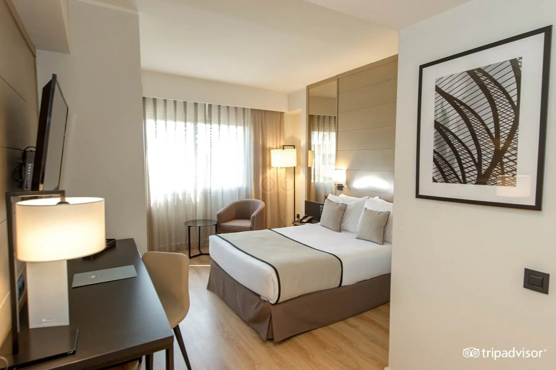 Exe Rey Don Jaime — EXE REY DON JAIME