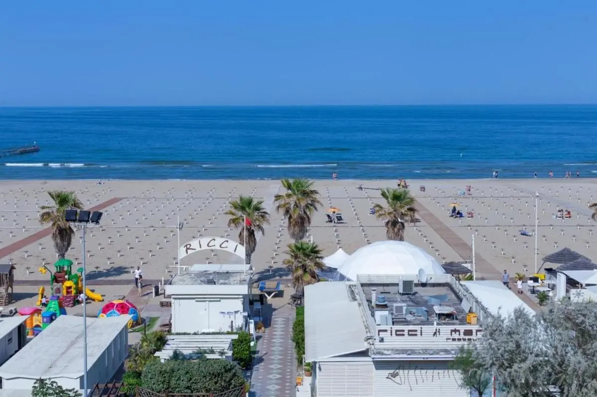 Executive La Fiorita — EXECUTIVE LA FIORITA