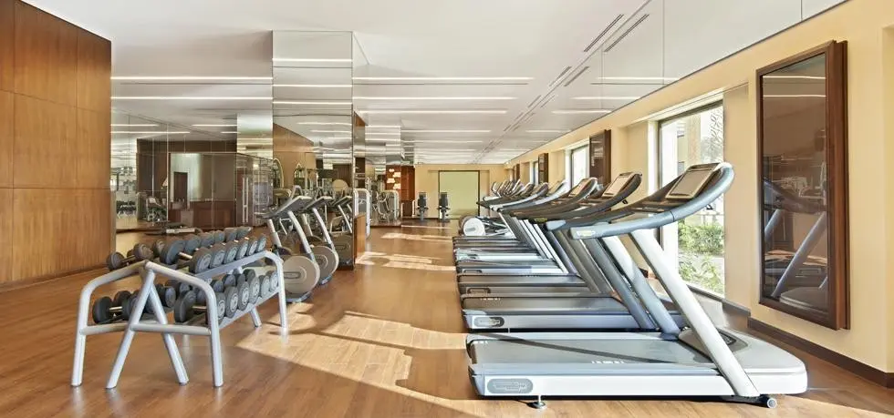 Fairmont The Palm Dubai — FAIRMONT THE PALM DUBAI