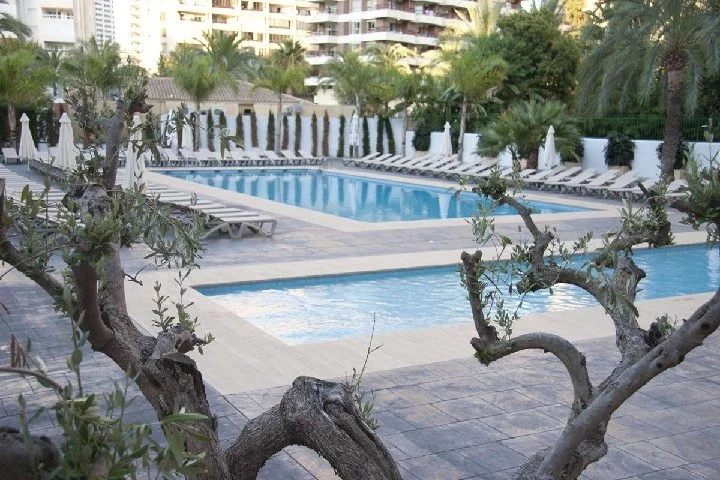 Hotel Flash Hotel (Adults Only)