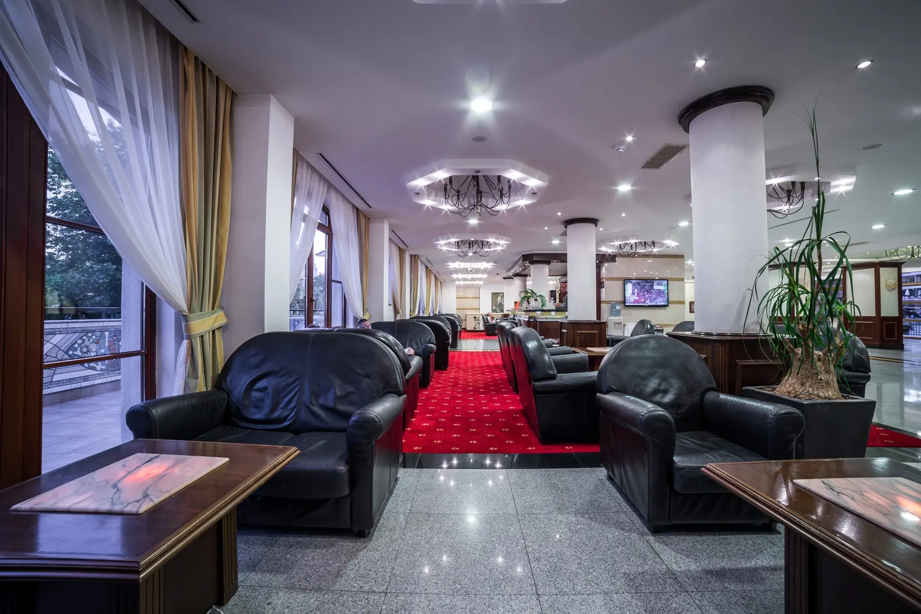 Helena Park — HELENA PARK