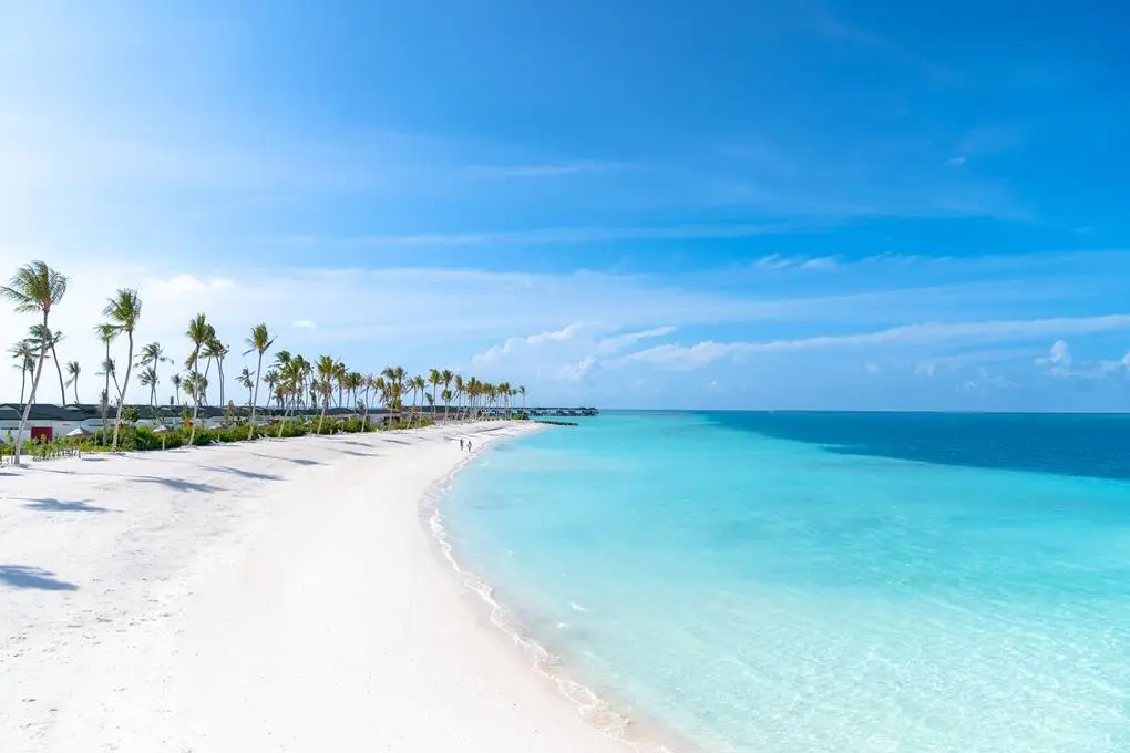Joy Island Maldives Resort — JOY ISLAND BY THE COCOON COLLECTION