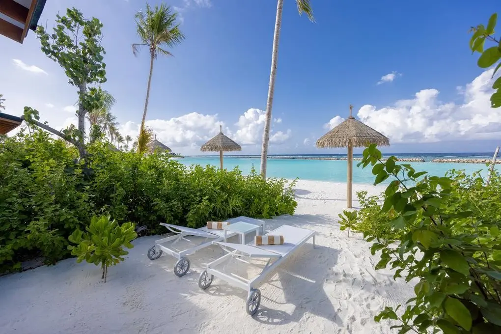 Joy Island Maldives Resort — JOY ISLAND BY THE COCOON COLLECTION