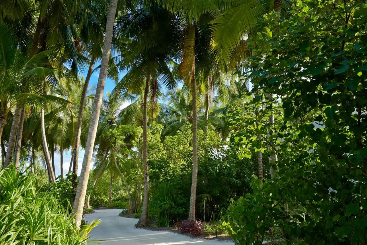 Lobby hotelu Kandima Maldives