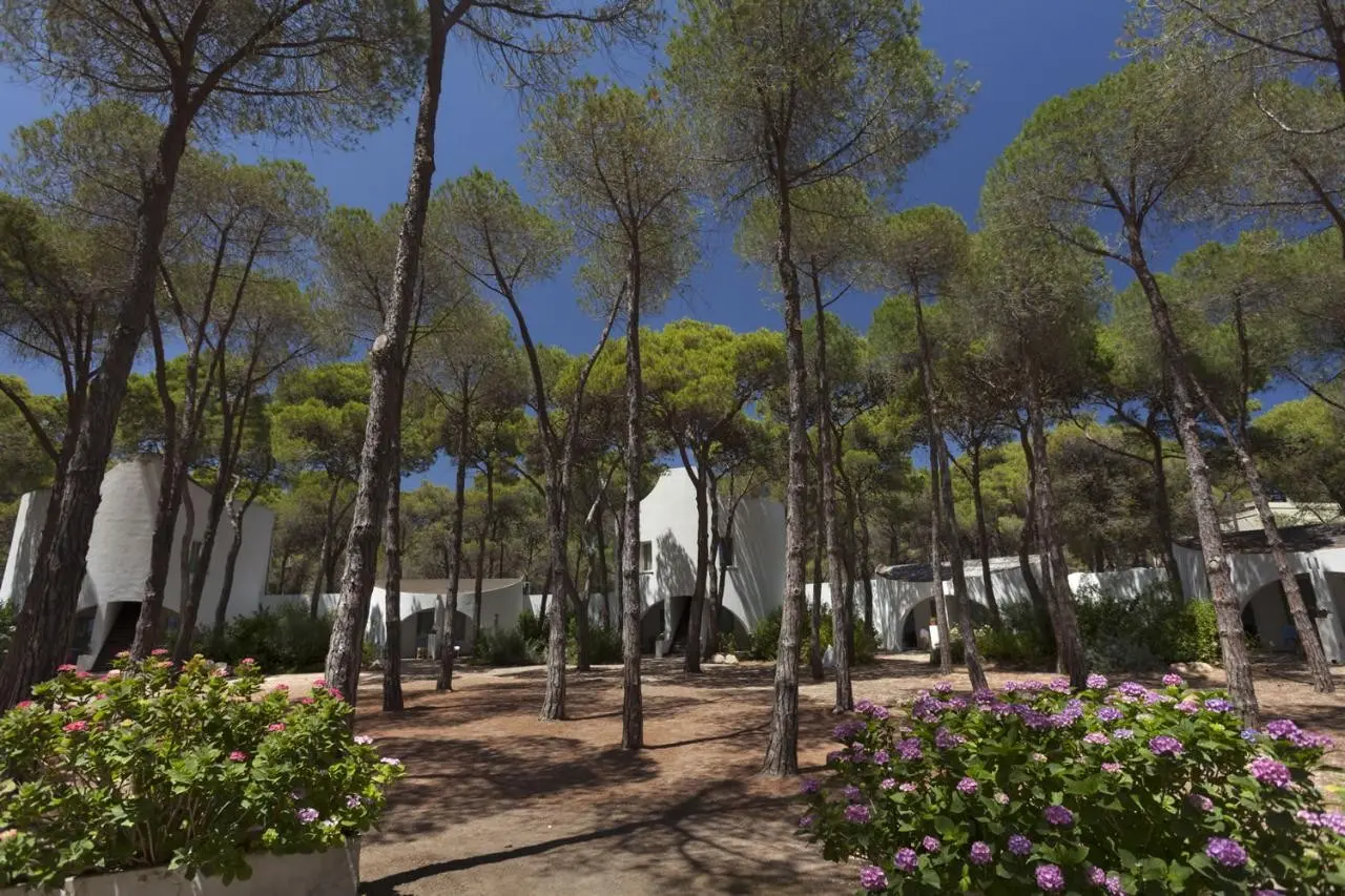 Mare Pineta — MARE PINETA