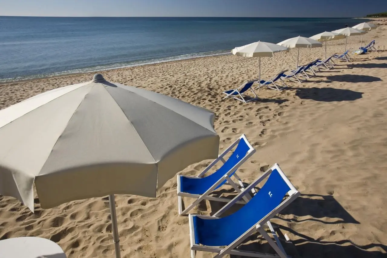 Mare Pineta — MARE PINETA