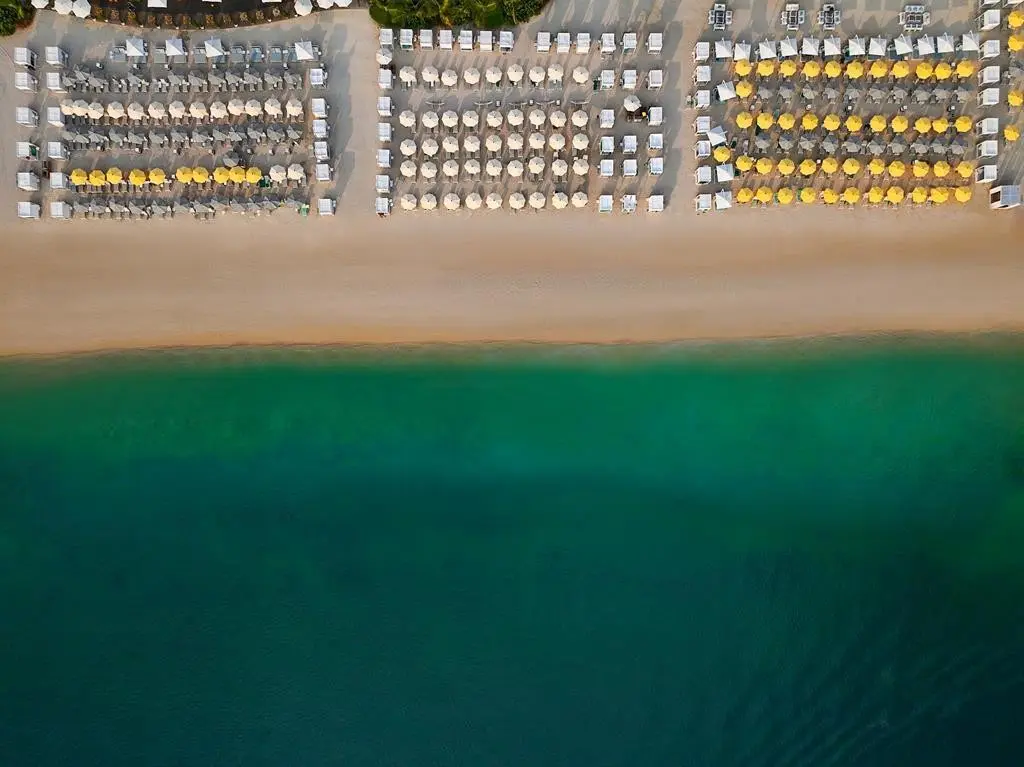 Obiekt hotelu Marriott Resort Palm Jumeirah