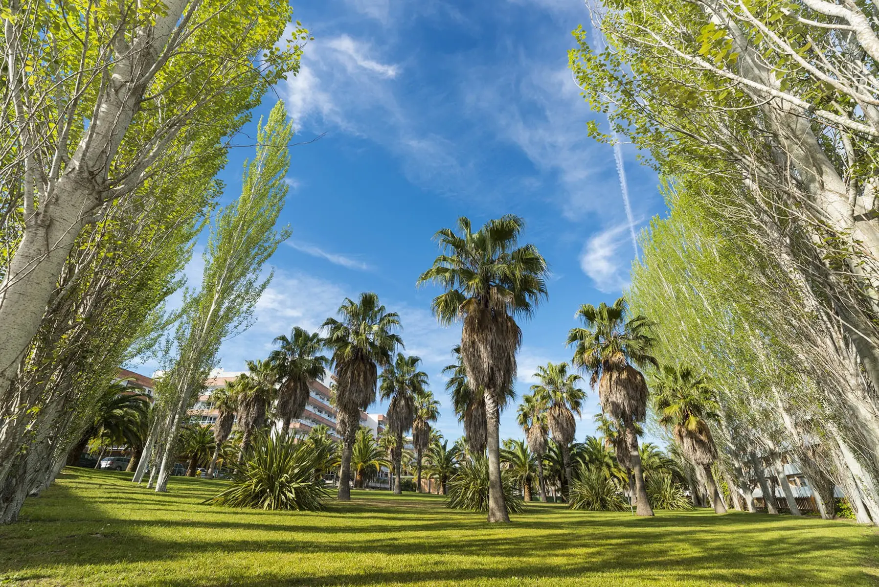 Marsol Costa Encantada Aparthotel — MARSOL COSTA ENCANTADA APARTHOTEL